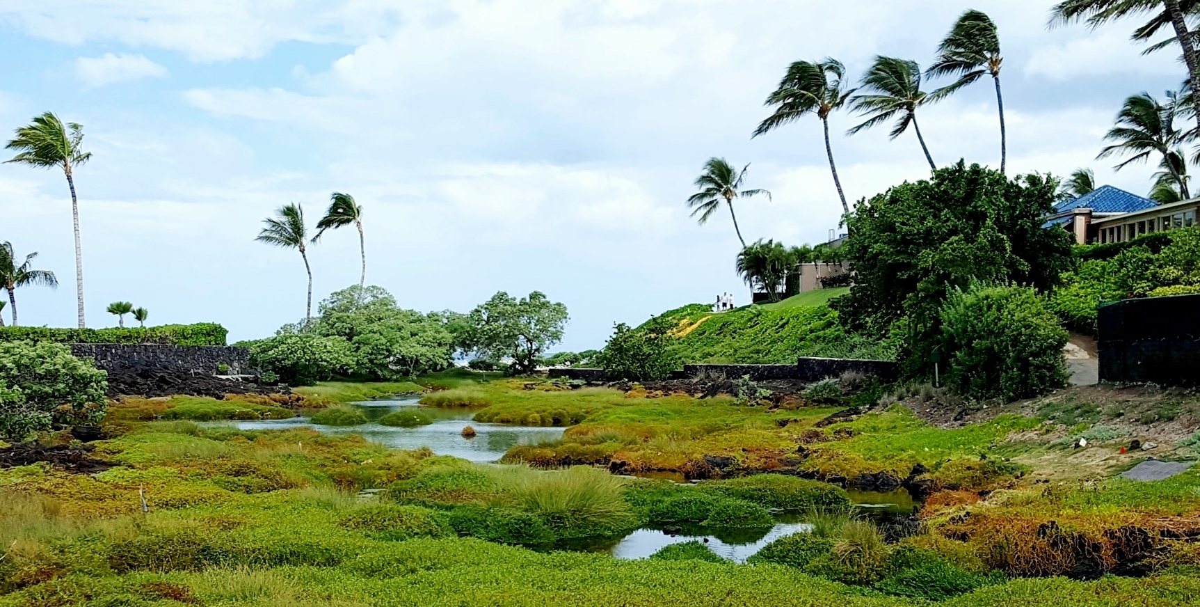 Waikoloa Anchialine Pond